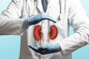 Kidneys